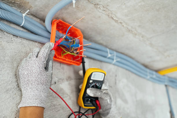 Best Electric Panel Repair  in Wabasso Beach, FL